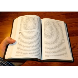 The Greek New Testament - 1894 Textus Receptus from TBS  - Calfskin Leather