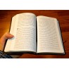 The Greek New Testament - 1894 Textus Receptus from TBS  - Calfskin Leather