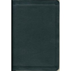 The Greek New Testament - 1894 Textus Receptus from TBS  - Calfskin Leather