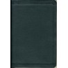 The Greek New Testament - 1894 Textus Receptus from TBS  - Calfskin Leather