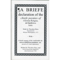 A Brief Declaration of the Chief Points of Christian Religion - Beza